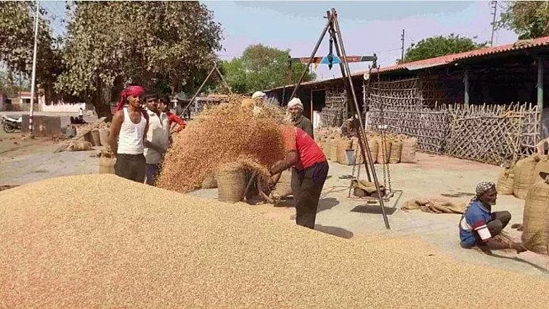 केंद्र सरकार ने राजस्थान के किसानों को दी सौगात, गेहूं खरीद पर सरकार ने दी राहत