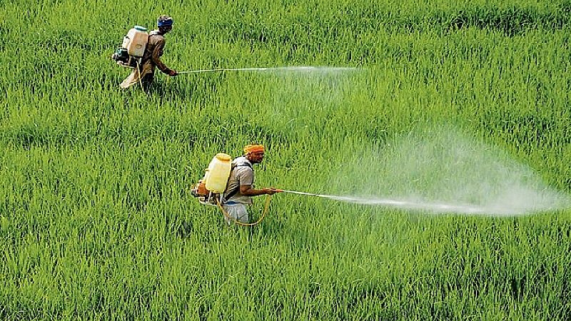 कभी ये आदिवासी घर छोड़ रोजगार के लिए कर रहे थे पलायन, फिर एक प्रयास ने संघर्ष को अवसर में बदल दिया