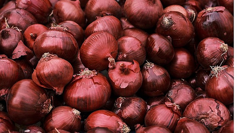 Onion Price: 4 मई से पहले खरीद लें प्याज, वर्ना चुकानी पड़ेगी ज्यादा कीमत, होने जा रहा है ये बदलाव