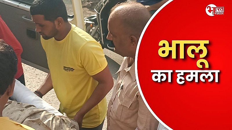 ब्यावर में युवक पर भालू ने किया हमला, अजमेर रेफर, कैसे आते हैं पब्लिक प्लेस में जानवर ?