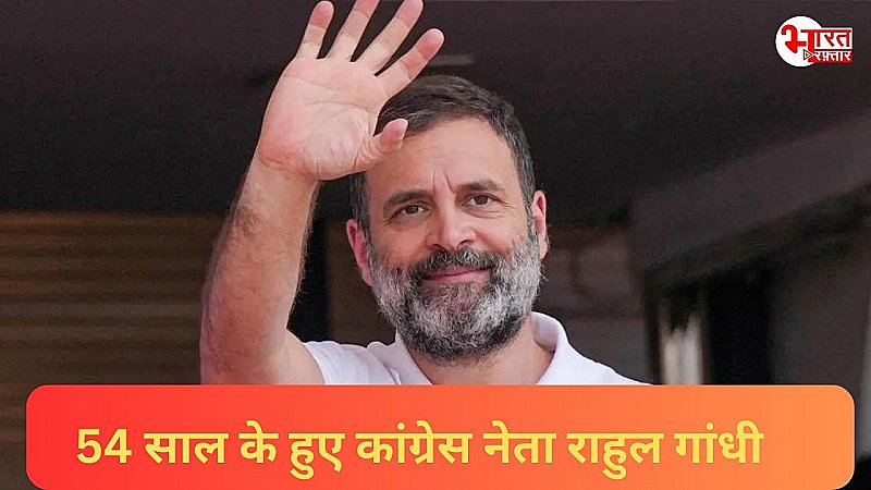 Rahul Gandhi Birthday 2024:  नेता जिसके नेतृत्व में कांग्रेस ने 10 साल में हारे 90 फीसदी चुनाव, फिर कैसे खुद को बदला