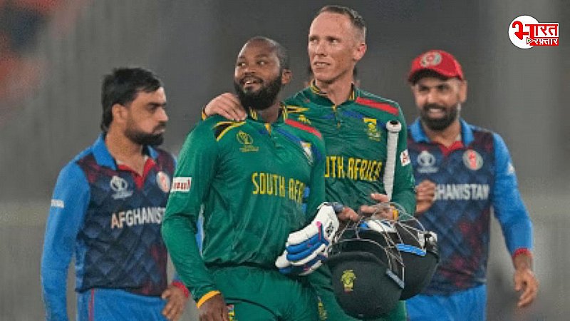 SA vs AFG, Semifinal: मैच में कप्तान राशिद का ये फैसला और बातें  बनी हार का कारण,  जानें कैसे हुई शर्मनाक हार