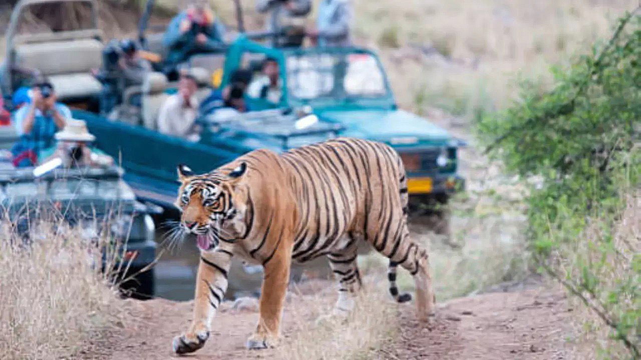 रणथंभौर राष्ट्रीय उद्यान