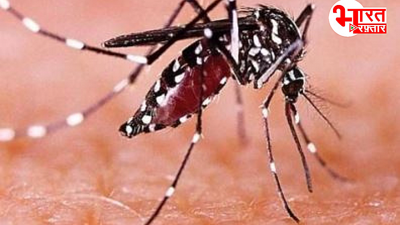 Zika Infection Update: हो जाए सावधान! महाराष्ट्र में कुल 97 मामले दर्ज, जिनमें 45 गर्भवती महिलाएं हैं,