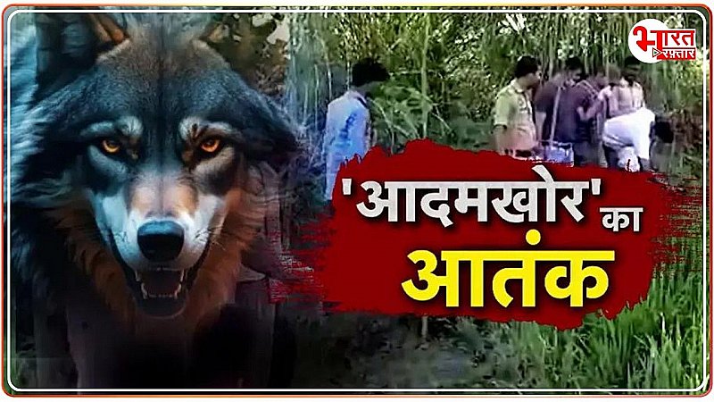 Bahraich News: जल्द पकड़ में होगा ‘आदमखोर’ भेड़िया, मंत्रियों ने की ऐसी प्लानिंग कि जल्द ‘पिंजड़े’ में होगा !