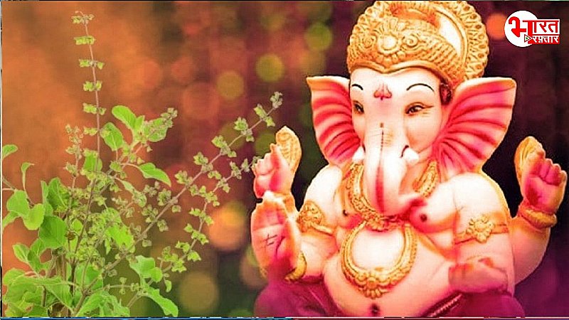 Ganesh Utsav : गणेश जी की करने जा रहे पूजा तो अभी जान लीजिए कि भगवान गणेश को तुलसी के पत्ते क्यों नहीं चढ़ाए जाते?