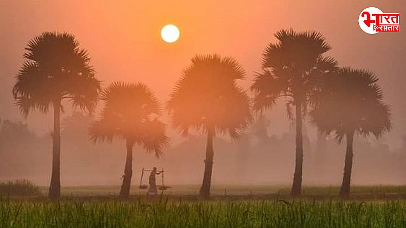 Rajasthan Weather: राजस्थान में मौसम की लुकाछिपी जारी! बारिश के बाद अब ठंड ने दी दस्तक