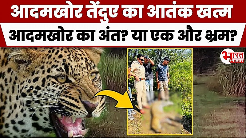 Udaipur News: खूनी खेल का खूनी अंत, दस लोगों की जान लेने वाला आदमखोर मारा गया, आखिरकार मिला इंसाफ!