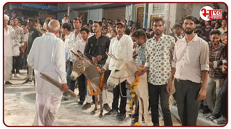 Bhilwara News: भाई दूज पर कुम्हार समाज की 70 सालों से चली आ रही अनोखी परंपरा, गधों के साथ होता है ये.... पढ़ें पूरी खबर