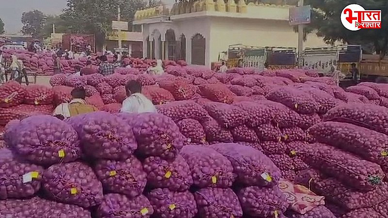 अलवर की प्याज के बेहतर उत्पादन और भाव से किसानों की आमदनी में हुई बढ़ोतरी, थोक मंडी में भाव हुए दोगुने